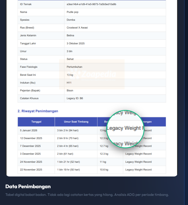 PDF Output Report